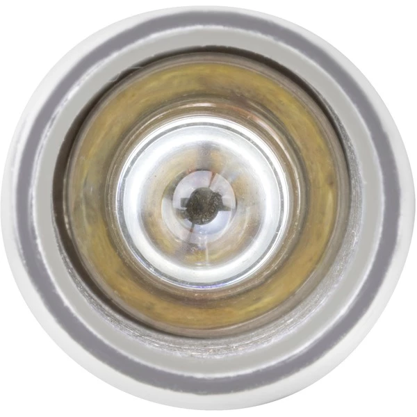 Ansmann 1600-0119, Lumière LED (Noir) – Image 3