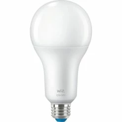 WiZ 929003500001, Lampe à LED
